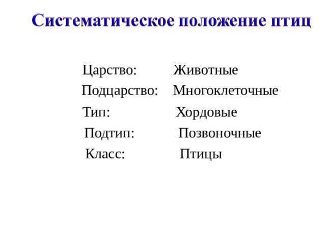 Царство: Животные Подцарство: Многоклеточные Тип: Хордовые Подтип: Позвоночные Класс: Птицы 