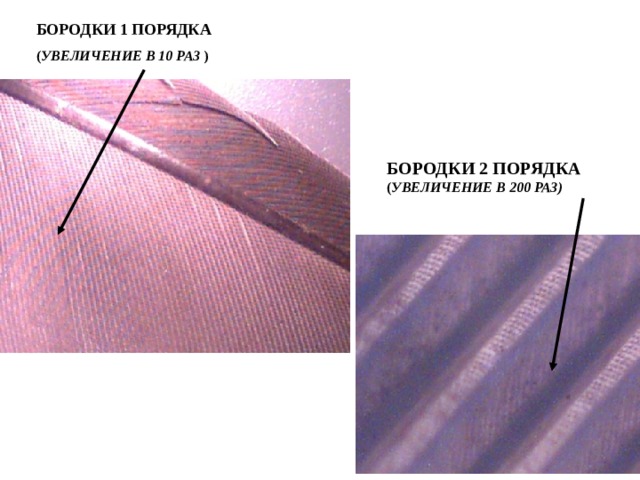  БОРОДКИ 1 ПОРЯДКА ( УВЕЛИЧЕНИЕ В 10 РАЗ ) БОРОДКИ 2 ПОРЯДКА ( УВЕЛИЧЕНИЕ В 200 РАЗ) ВНЕШНЕЕ СТРОЕНИЕ ПТИЦ. СТРОЕНИЕ ПЕРА ПТИЦ  