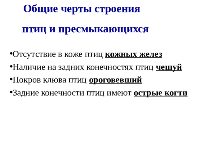  Общие черты строения птиц и пресмыкающихся Отсутствие в коже птиц кожных желез Наличие на задних конечностях птиц чешуй Покров клюва птиц ороговевший Задние конечности птиц имеют острые когти  