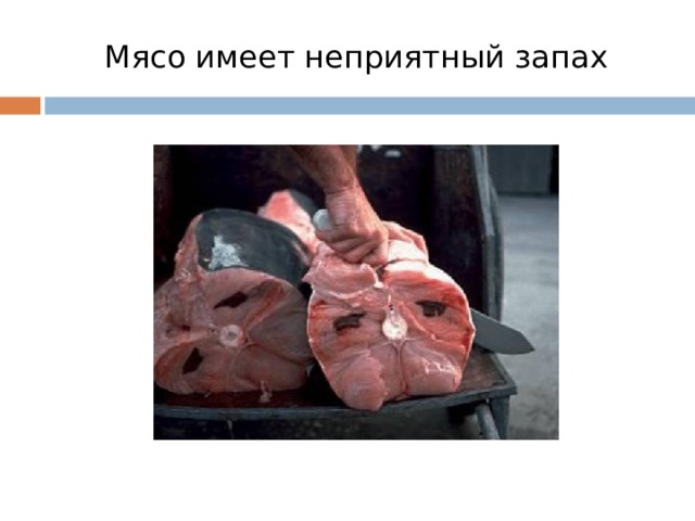 Мясо имеет неприятный запах 