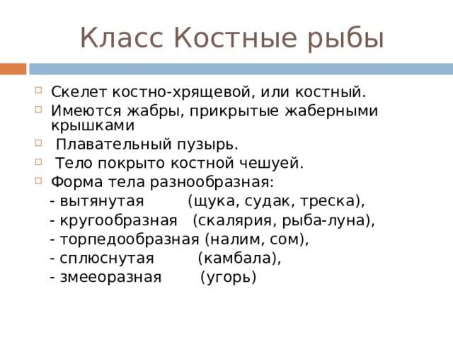 Класс Костные рыбы Скелет костно-хрящевой, или костный. Имеются жабры, прикрытые жаберными крышками  Плавательный пузырь.  Тело покрыто костной чешуей. Форма тела разнообразная:  - вытянутая (щука, судак, треска),  - кругообразная (скалярия, рыба-луна),  - торпедообразная (налим, сом),  - сплюснутая (камбала),  - змееоразная (угорь) 