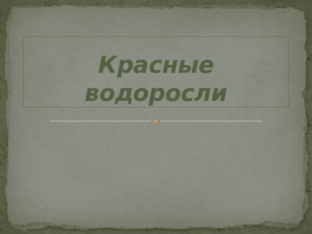 Красные водоросли 