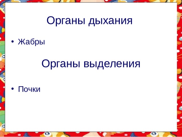 Органы дыхания Жабры    Почки Органы выделения 