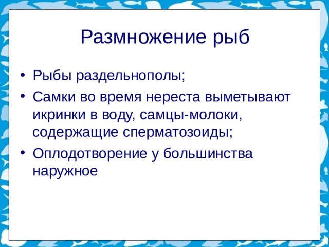 Размножение рыб Рыбы раздельнополы; Самки во время нереста выметывают икринки в воду, самцы-молоки, содержащие сперматозоиды; Оплодотворение у большинства наружное        