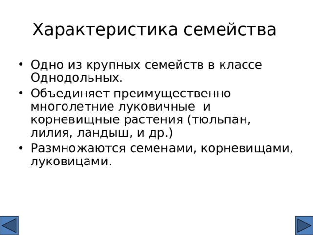 Характеристика семейства Одно из крупных семейств в классе Однодольных. Объединяет преимущественно многолетние луковичные и корневищные растения (тюльпан, лилия, ландыш, и др.) Размножаются семенами, корневищами, луковицами. 