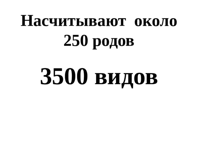 Насчитывают около 250 родов  3500 видов 