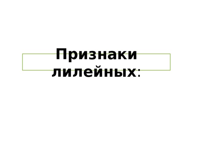 Признаки лилейных : 