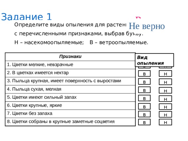 Задание 1 Верно Не верно Определите виды опыления для растений с перечисленными признаками, выбрав букву: Н – насекомоопыляемые;  В – ветроопыляемые. Признаки 1. Цветки мелкие, невзрачные 2. В цветках имеется нектар 3. Пыльца крупная, имеет поверхность с выростами 4. Пыльца сухая, мелкая 5. Цветки имеют сильный запах 6. Цветки крупные, яркие 7. Цветки без запаха 8. Цветки собраны в крупные заметные соцветия Вид опыления в н в н в н в н в н в н в н в н 