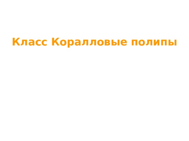     Класс Коралловые полипы 