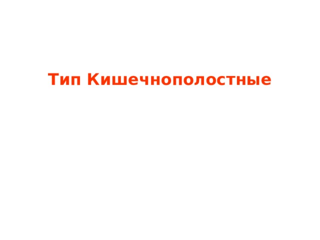    Тип Кишечнополостные 