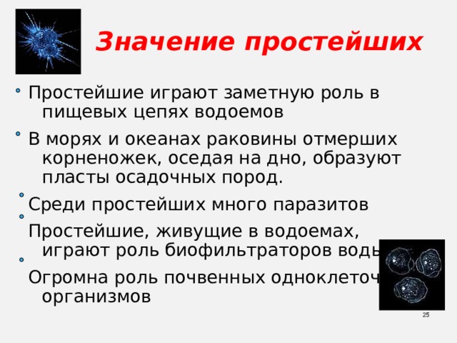 Значение простейших Простейшие играют заметную роль в пищевых цепях водоемов В морях и океанах раковины отмерших корненожек, оседая на дно, образуют пласты осадочных пород. Среди простейших много паразитов Простейшие, живущие в водоемах, играют роль биофильтраторов воды Огромна роль почвенных одноклеточных организмов  