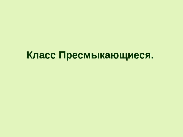 Класс Пресмыкающиеся.    
