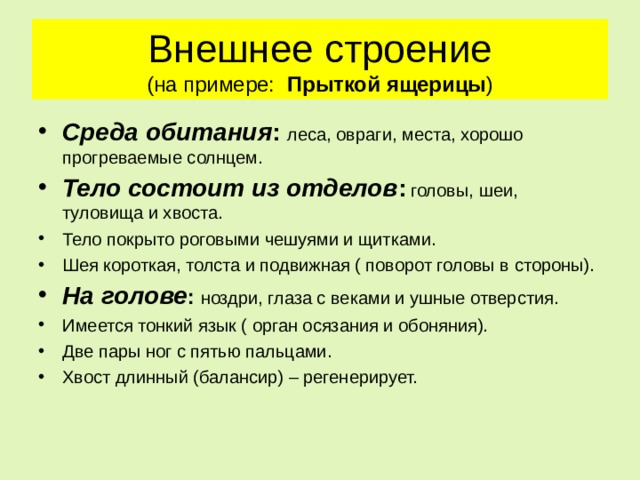 Внешнее строение  (на примере: Прыткой ящерицы ) Среда обитания : леса, овраги, места, хорошо прогреваемые солнцем. Тело состоит из отделов :  головы, шеи, туловища и хвоста. Тело покрыто роговыми чешуями и щитками. Шея короткая, толста и подвижная ( поворот головы в стороны). На голове : ноздри, глаза с веками и ушные отверстия. Имеется тонкий язык ( орган осязания и обоняния). Две пары ног с пятью пальцами. Хвост длинный (балансир) – регенерирует.   