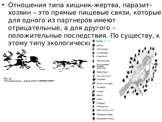 Отношения типа хищник-жертва, паразит-хозяин – это прямые пищевые связи, которые для одного из партнеров имеют отрицательные, а для другого – положительные последствия. По существу, к этому типу экологических взаимодействий можно отнести все варианты пищевых связей. 
