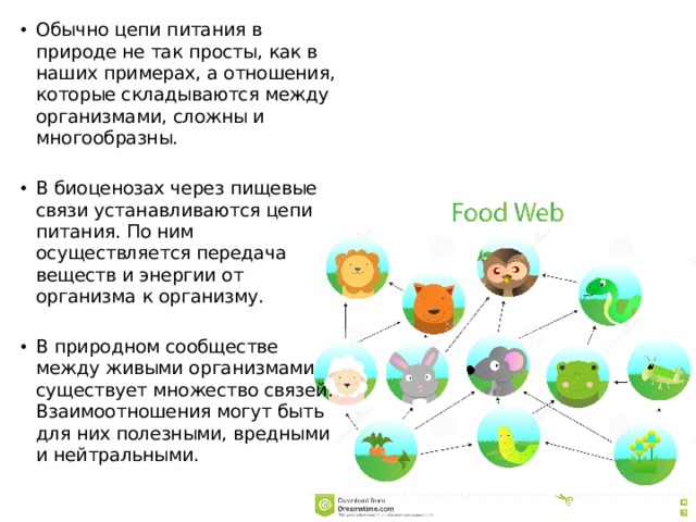 Обычно цепи питания в природе не так просты, как в наших примерах, а отношения, которые складываются между организмами, сложны и многообразны. В биоценозах через пищевые связи устанавливаются цепи питания. По ним осуществляется передача веществ и энергии от организма к организму. В природном сообществе между живыми организмами существует множество связей. Взаимоотношения могут быть для них полезными, вредными и нейтральными. 