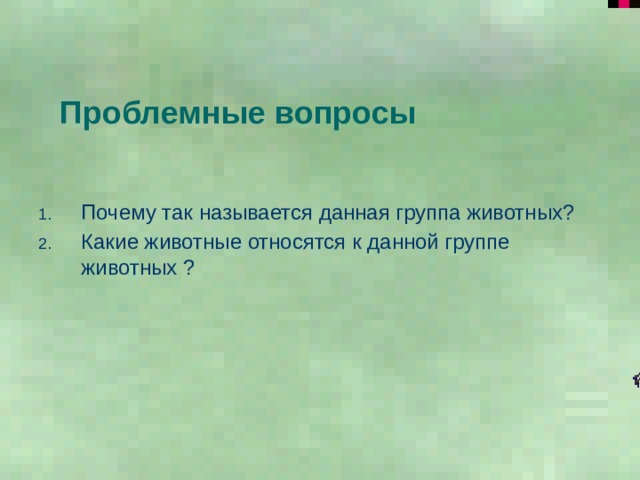 Проблемные вопросы Почему так называется данная группа животных? Какие животные относятся к данной группе животных ? 