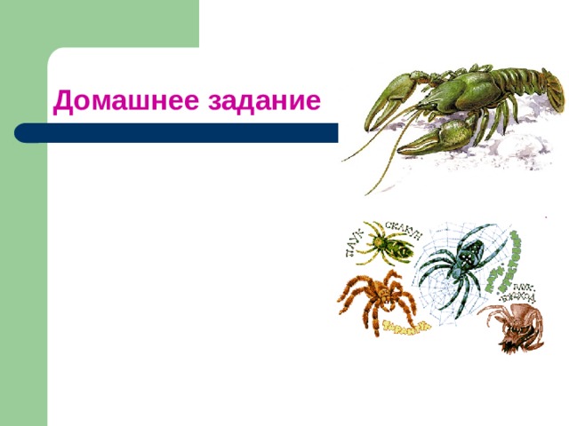 Домашнее задание   