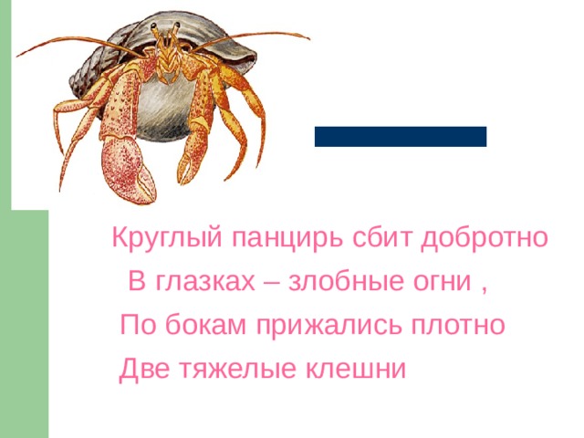 Круглый панцирь сбит добротно  В глазках – злобные огни ,  По бокам прижались плотно  Две тяжелые клешни Круглый панцирь сбит добротно , В глазках – злобные огни , По бокам прижались плотно Две тяжелые клешни  