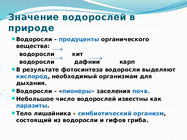 Значение водорослей в природе Водоросли – продуценты органического вещества:  водоросли кит  водоросли дафнии карп В результате фотосинтеза водоросли выделяют кислород , необходимый организмам для дыхания. Водоросли – « пионеры» заселения почв. Небольшое число водорослей известны как паразиты . Тело лишайника – симбиотический организм , состоящий из водоросли и гифов гриба. 