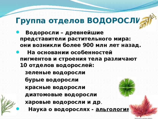 Группа отделов ВОДОРОСЛИ  Водоросли – древнейшие представители растительного мира: они возникли более 900 млн лет назад.  На основании особенностей пигментов и строения тела различают 10 отделов водорослей:  зеленые водоросли  бурые водоросли  красные водоросли  диатомовые водоросли  харовые водоросли и др .  Наука о водорослях - альгология .  