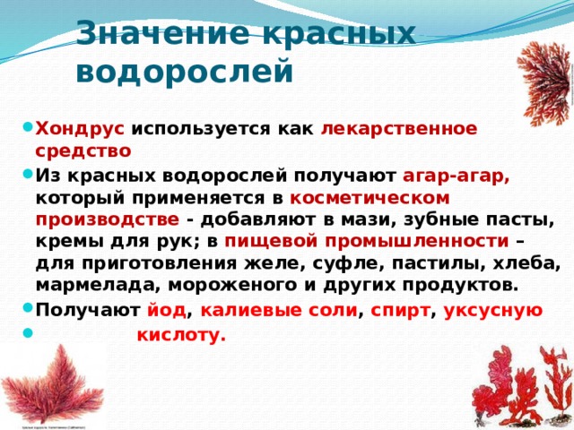 Значение красных водорослей Хондрус используется как лекарственное средство Из красных водорослей получают агар-агар, который применяется в косметическом производстве - добавляют в мази, зубные пасты, кремы для рук; в пищевой промышленности – для приготовления желе, суфле, пастилы, хлеба, мармелада, мороженого и других продуктов. Получают йод , калиевые соли , спирт , уксусную  кислоту. 