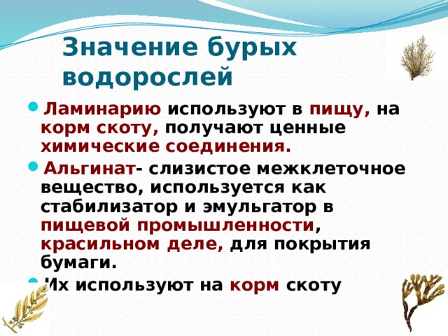 Значение бурых водорослей Ламинарию используют в пищу, на корм скоту, получают ценные химические соединения. Альгинат - слизистое межклеточное вещество, используется как стабилизатор и эмульгатор в пищевой промышленности , красильном деле, для покрытия бумаги. Их используют на корм скоту 