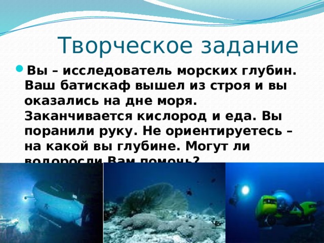 Творческое задание Вы – исследователь морских глубин. Ваш батискаф вышел из строя и вы оказались на дне моря. Заканчивается кислород и еда. Вы поранили руку. Не ориентируетесь – на какой вы глубине. Могут ли водоросли Вам помочь? 