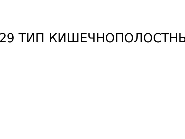 п.29 ТИП КИШЕЧНОПОЛОСТНЫЕ 