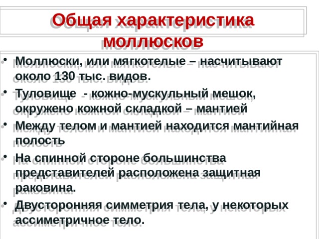 Общая характеристика моллюсков Моллюски, или мягкотелые – насчитывают около 130 тыс. видов. Туловище - кожно-мускульный мешок, окружено кожной складкой – мантией Между телом и мантией находится мантийная полость На спинной стороне большинства представителей расположена защитная раковина. Двусторонняя симметрия тела, у некоторых ассиметричное тело. 