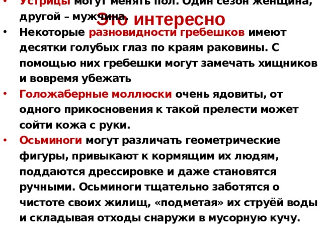Это интересно Самый старый пойманный человеком моллюск, по оценкам ученых имел 405 лет, возможно, он был самым старым морским животным. Устрицы могут менять пол. Один сезон женщина, другой – мужчина. Некоторые разновидности гребешков имеют десятки голубых глаз по краям раковины. С помощью них гребешки могут замечать хищников и вовремя убежать Голожаберные моллюски очень ядовиты, от одного прикосновения к такой прелести может сойти кожа с руки. Осьминоги могут различать геометрические фигуры, привыкают к кормящим их людям, поддаются дрессировке и даже становятся ручными. Осьминоги тщательно заботятся о чистоте своих жилищ, «подметая» их струёй воды и складывая отходы снаружи в мусорную кучу. 