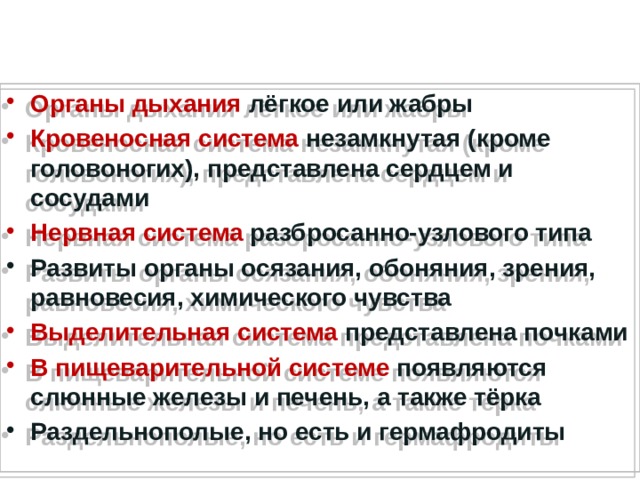 Органы дыхания лёгкое или жабры Кровеносная система незамкнутая (кроме головоногих), представлена сердцем и сосудами Нервная система разбросанно-узлового типа Развиты органы осязания, обоняния, зрения, равновесия, химического чувства Выделительная система представлена почками В пищеварительной системе появляются слюнные железы и печень, а также тёрка Раздельнополые, но есть и гермафродиты 