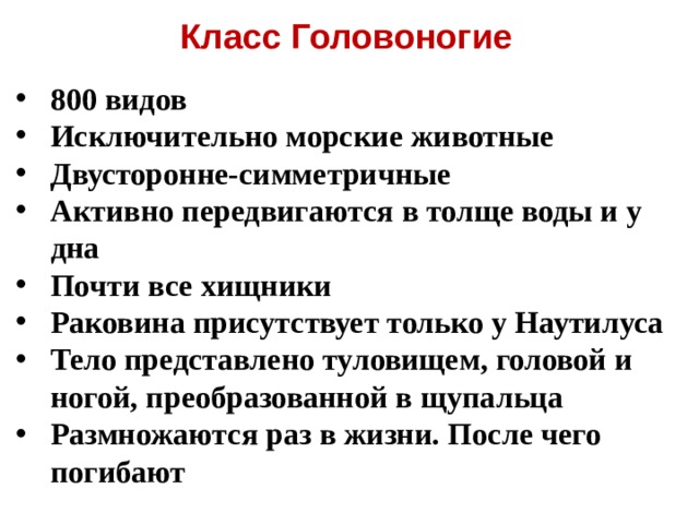Класс Головоногие 800 видов Исключительно морские животные Двусторонне-симметричные Активно передвигаются в толще воды и у дна Почти все хищники Раковина присутствует только у Наутилуса Тело представлено туловищем, головой и ногой, преобразованной в щупальца Размножаются раз в жизни. После чего погибают 