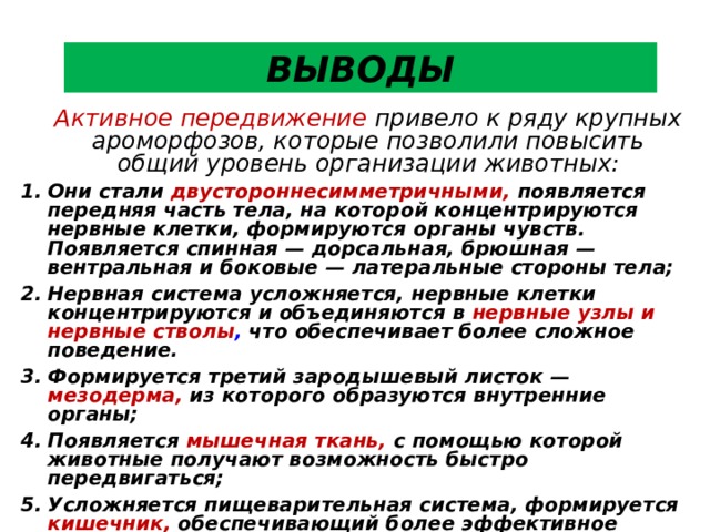 ВЫВОДЫ  Активное передвижение привело к ряду крупных ароморфозов, которые позволили повысить общий уровень организации животных: Они стали двустороннесимметричными, появляется передняя часть тела, на которой концентрируются нервные клетки, формируются органы чувств. Появляется спинная — дорсальная, брюшная — вентральная и боковые — латеральные стороны тела; Нервная система усложняется, нервные клетки концентрируются и объединяются в нервные узлы и нервные стволы , что обеспечивает более сложное поведение. Формируется третий зародышевый листок — мезодерма, из которого образуются внутренние органы; Появляется мышечная ткань, с помощью которой животные получают возможность быстро передвигаться; Усложняется пищеварительная система, формируется кишечник, обеспечивающий более эффективное пищеварение. Образуется выделительная система, состоящая из специализированных клеток — протонефридиев;  