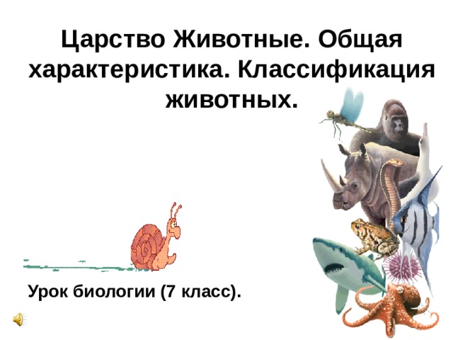 Царство Животные. Общая характеристика. Классификация животных. Урок биологии (7 класс). 