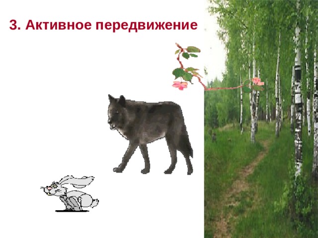 3. Активное передвижение 