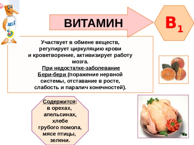 B 1 ВИТАМИН  Участвует в обмене веществ, регулирует циркуляцию крови и кроветворение, активизирует работу мозга.  При недостатке-заболевание Бери-бери (поражение нервной системы, отставание в росте, слабость и паралич конечностей).    Содержится : в орехах, апельсинах,  хлебе грубого помола, мясе птицы, зелени.   