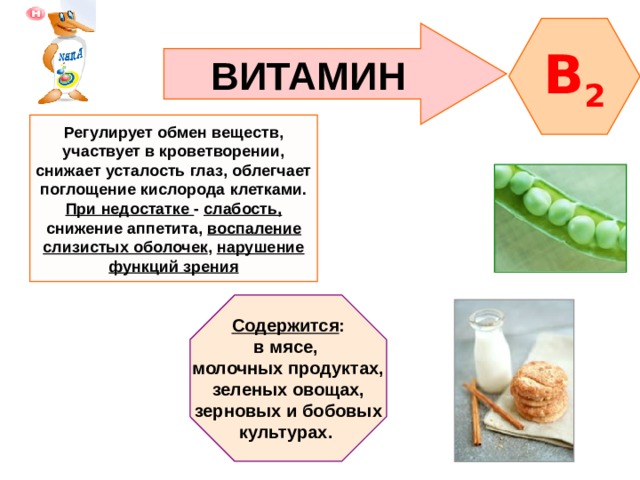 B 2 ВИТАМИН Регулирует обмен веществ, участвует в кроветворении, снижает усталость глаз, облегчает поглощение кислорода клетками. При недостатке - слабость, снижение аппетита, воспаление слизистых оболочек , нарушение функций зрения Содержится : в мясе, молочных продуктах, зеленых овощах, зерновых и бобовых культурах. 