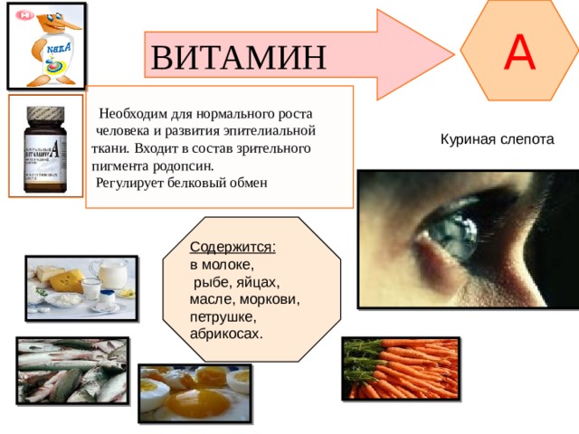 A ВИТАМИН  Необходим для нормального роста  человека и развития эпителиальной ткани. Входит в состав зрительного пигмента родопсин.  Регулирует белковый обмен Куриная слепота Содержится: в молоке,  рыбе, яйцах, масле, моркови, петрушке, абрикосах. 