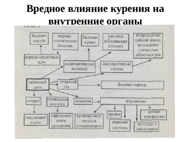 Вредное влияние курения на внутренние органы 