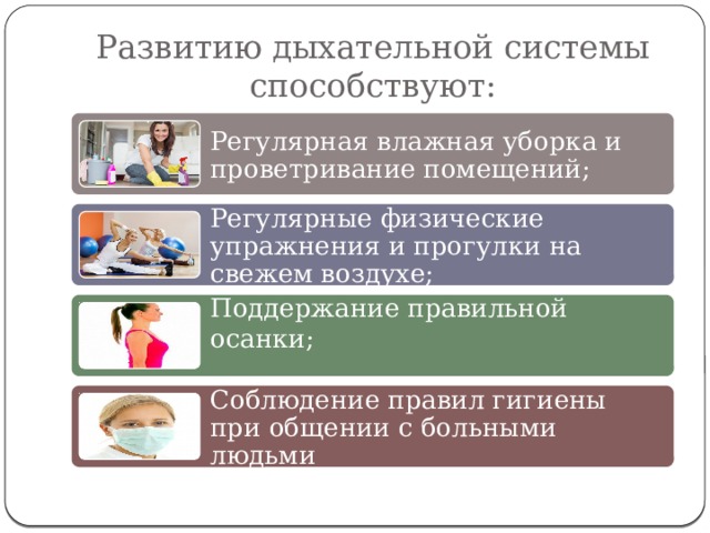 Развитию дыхательной системы способствуют: Регулярная влажная уборка и проветривание помещений; Регулярные физические упражнения и прогулки на свежем воздухе; Поддержание правильной осанки; Соблюдение правил гигиены при общении с больными людьми 