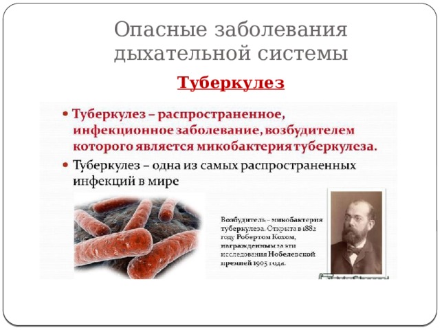 Опасные заболевания дыхательной системы Туберкулез 
