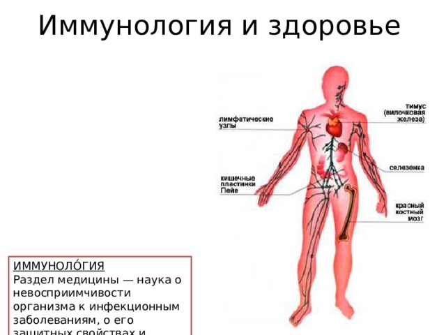 Иммунология и здоровье ИММУНОЛО́ГИЯ Раздел медицины — наука о невосприимчивости организма к инфекционным заболеваниям, о его защитных свойствах и реакциях. 