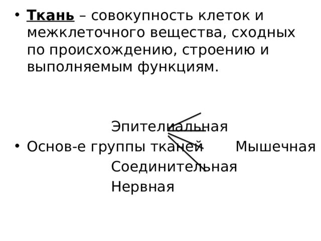 Ткань – совокупность клеток и межклеточного вещества, сходных по происхождению, строению и выполняемым функциям.       Эпителиальная Основ-е группы тканей   Мышечная       Соединительная       Нервная 