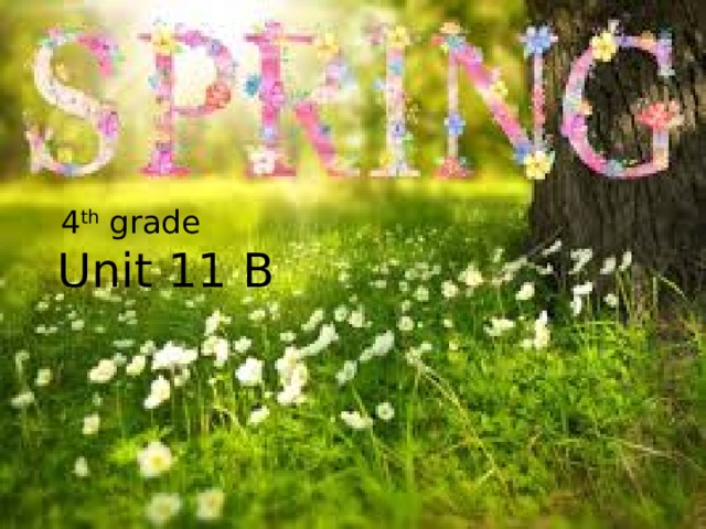 4 th grade Unit 11 B 