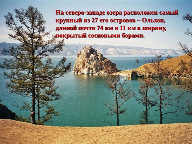 На северо-западе озера расположен самый крупный из 2 7 его островов – Ольхон, длиной почти 74 км и 11 км в ширину, покрытый сосновыми борами.   