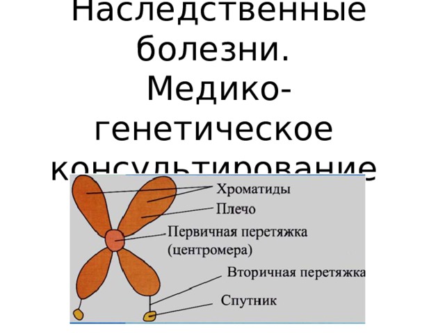 Наследственные болезни.  Медико-генетическое  консультирование 
