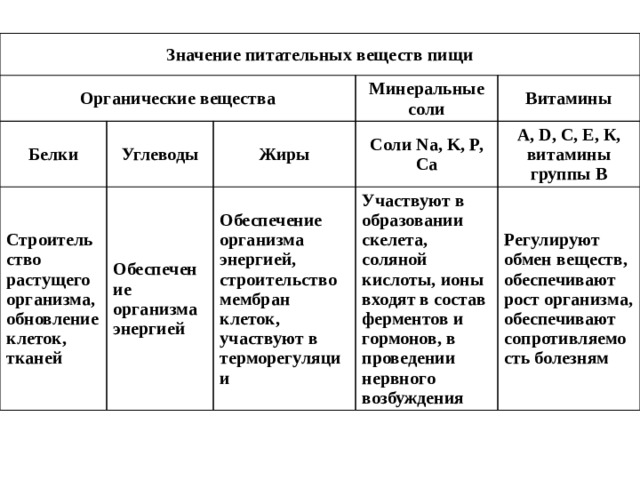 Значение питательных веществ пищи Органические вещества Белки Углеводы Строительство растущего организма, обновление клеток, тканей Минеральные соли Жиры Обеспечение организма энергией Витамины Соли Na, K, P, Ca Обеспечение организма энергией, строительство мембран клеток, участвуют в терморегуляции А, D, С, E, К, витамины группы В Участвуют в образовании скелета, соляной кислоты, ионы входят в состав ферментов и гормонов, в проведении нервного возбуждения Регулируют обмен веществ, обеспечивают рост организма, обеспечивают сопротивляемость болезням 