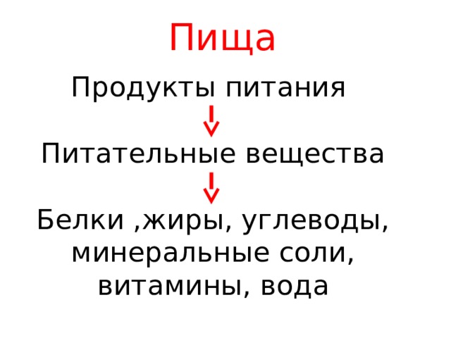 Пища Продукты питания Питательные вещества Белки ,жиры, углеводы, минеральные соли, витамины, вода 