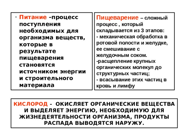 Питание –процесс поступления необходимых для организма веществ, которые в результате пищеварения становятся источником энергии и строительного материала Пищеварение – сложный процесс , который складывается из 3 этапов: - механическая обработка в ротовой полости и желудке, ее смешивание с желудочным соком. -расщепление крупных органических молекул до структурных частиц; - всасывание этих частиц в кровь и лимфу Кислород -  окисляет органические вещества и выделяет энергию, необходимую для жизнедеятельности организма, продукты распада выводятся наружу. 