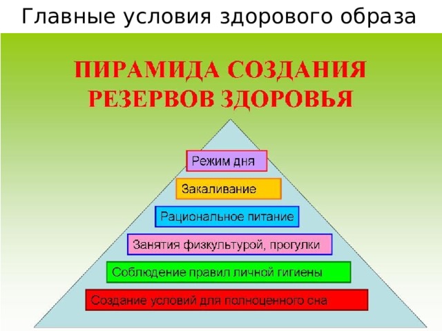 Главные условия здорового образа жизни 